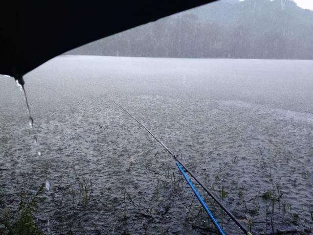 入秋下雨天钓鱼，钓深还是钓浅，就看这两个指标了