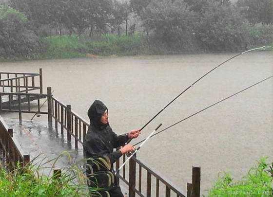 入秋下雨天钓鱼，钓深还是钓浅，就看这两个指标了