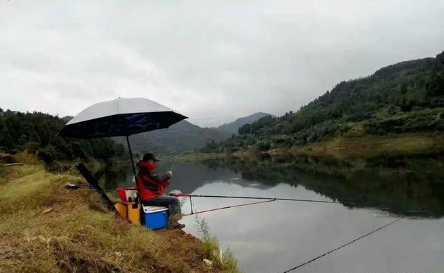 这几种天气大鱼吃钩猛，鱼护千万别带小了