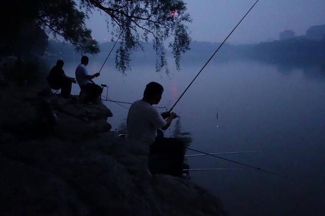 晚秋夜钓，就得试试这三个套路