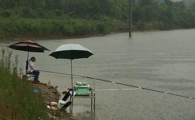 白露之后钓鱼，阴天、雨天最可能爆护