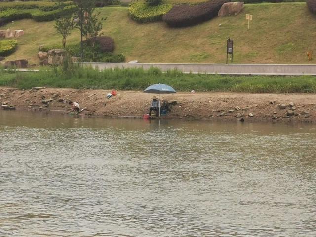 野钓时水位下降，鱼都不开口了，试试这样做