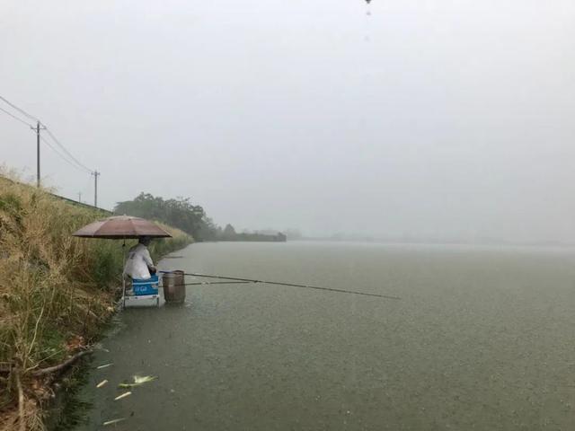 野钓时水位下降，鱼都不开口了，试试这样做