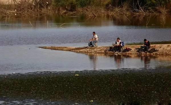 只要钓组能抛出去，不管风多大、浪多急，这两种钓法都能用