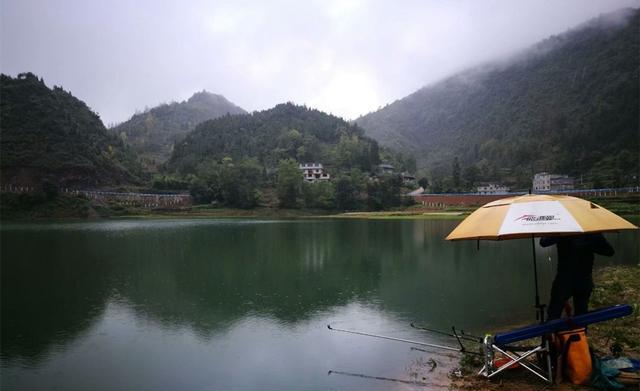 初秋钓鱼，晴天雨天和阴天，哪种天气最适合初秋