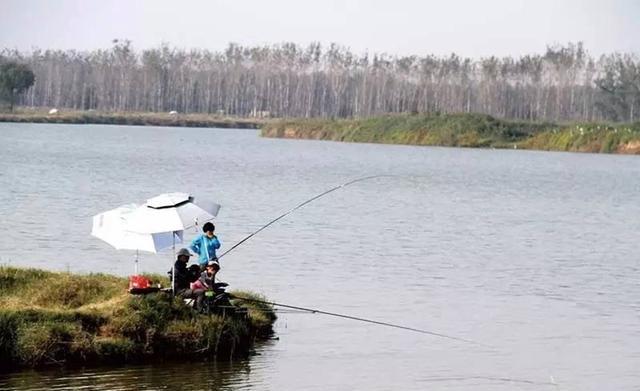 入秋后钓鱼，要去大水面钓大鱼，有5个基本规律