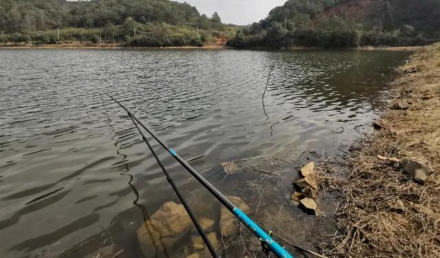 野钓如何选择钩、线？读懂浮漂的语言