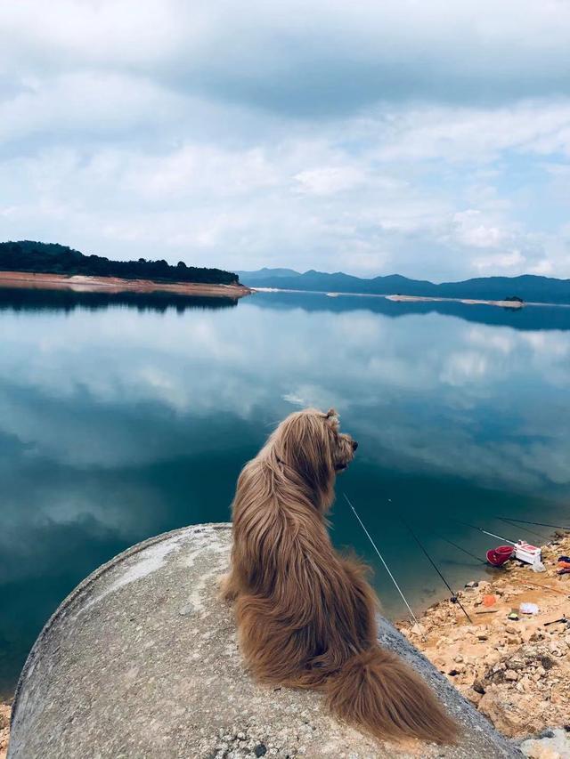 夏末秋初气不好钓不到鱼？是你没选好钓位