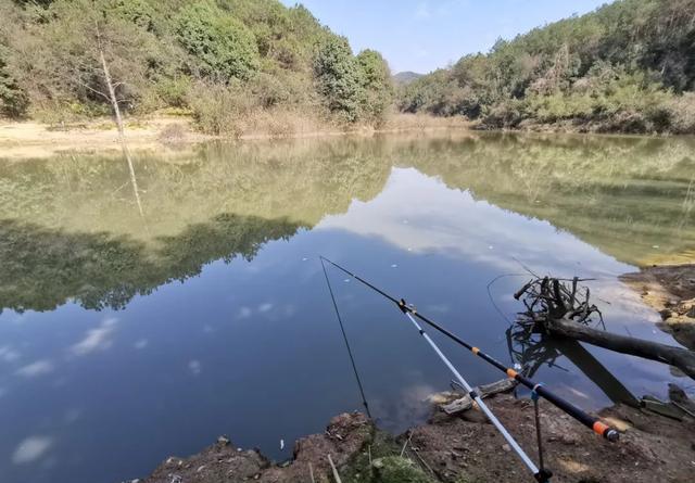 夏天鱼也怕热，别再傻坐一整天，野钓记住这五不钓