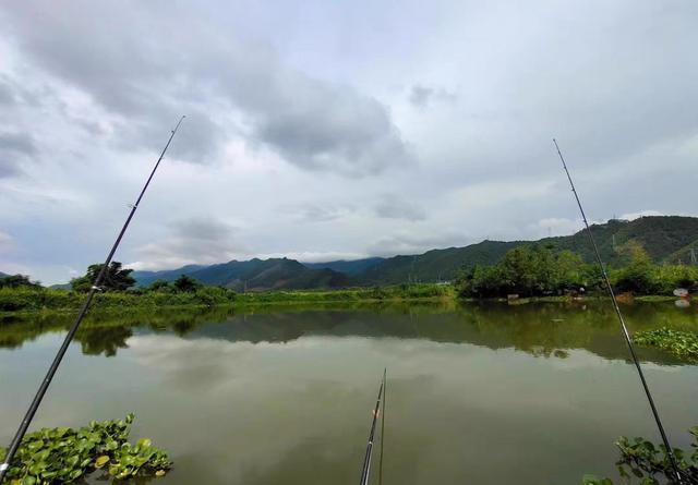 夏天鱼也怕热，别再傻坐一整天，野钓记住这五不钓