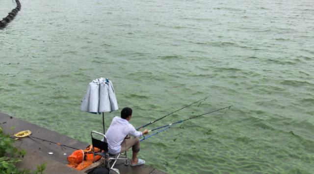 夏季降雨增多，河流涨水后该如何垂钓