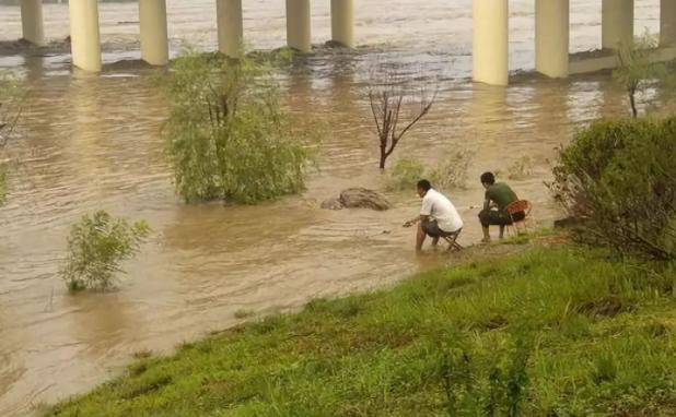 夏季降雨增多，河流涨水后该如何垂钓