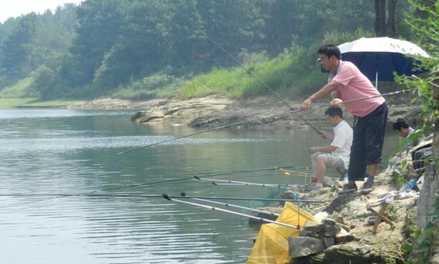 几种常钓鱼种的钓位、钓点选择