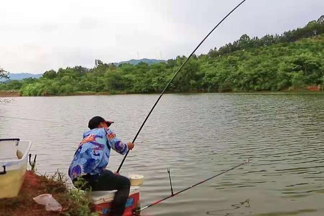 这钓法用上后，鳊鱼再大也难逃一劫