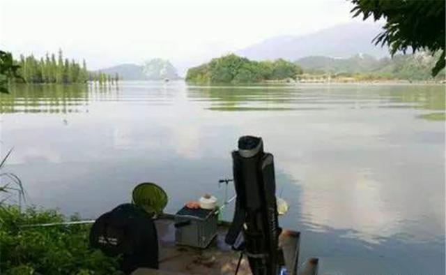 从过了白露开始，选择这4种天气和4种边，爆护太容易