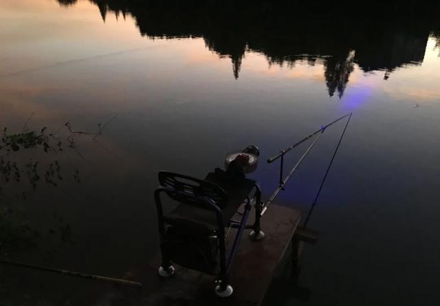 晚上鱼口一定好？难怪你经常空军，夏季夜钓有四不钓