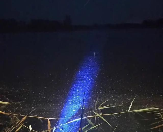 晚上鱼口一定好？难怪你经常空军，夏季夜钓有四不钓