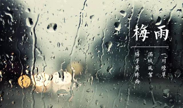 梅雨季节钓鱼，一整天看不到一口，为什么