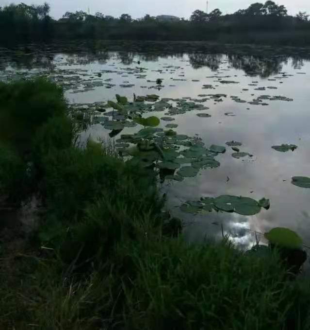 夏季钓鱼：好的收获，离不开这4个注意