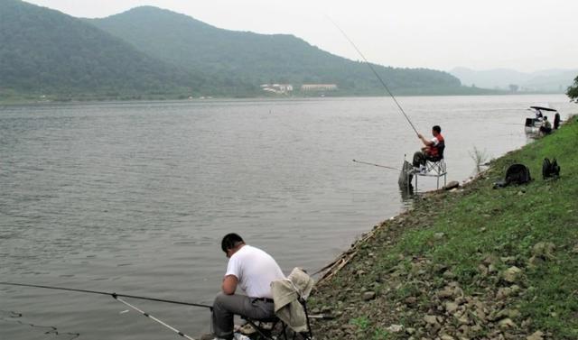 夏季野钓，总有小杂鱼捣乱怎么办