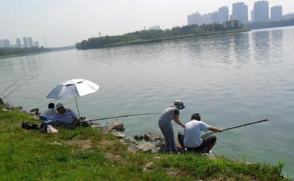 夏季野钓，灵活多变，因鱼施钓