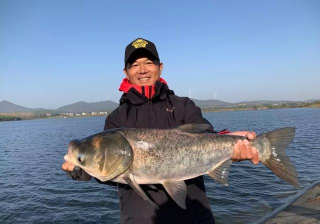 飞铅钓法才是永远的神！只要选对鱼情和方法才行