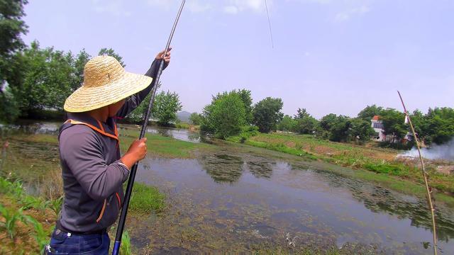 初夏钓黑鱼黄金季，手竿已钓数十条，攻略技巧分享