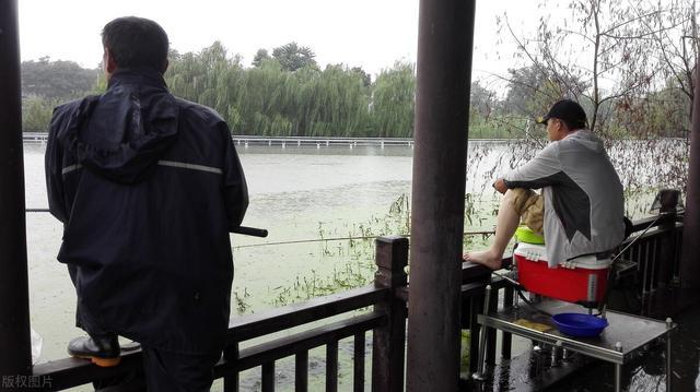 为什么暴雨后都伴随着狂口？因为是这些因素打开鱼口