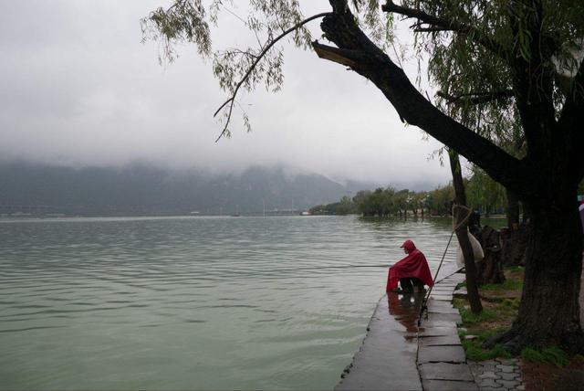 春季下雨钓鱼攻略，小鱼少大鱼多，靠岸觅食吃口狂