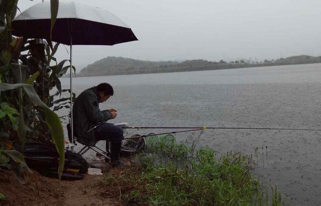 春季下雨钓鱼攻略，小鱼少大鱼多，靠岸觅食吃口狂