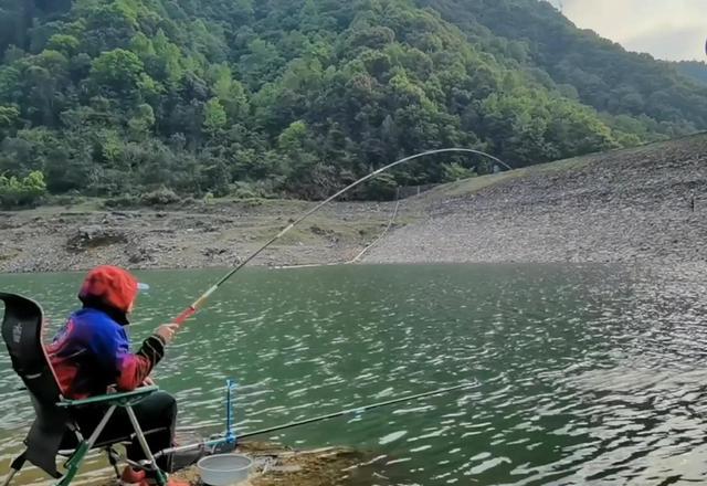 野钓青尾鲴，这么钓鲴鱼正口轻松很多