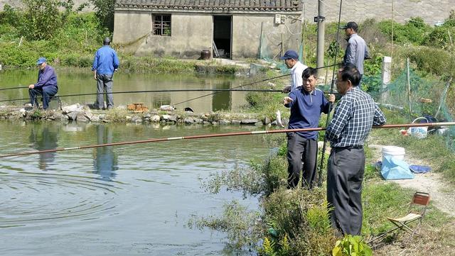 天气越来越暖和，鱼却为啥越来越难钓？原因其实很简单