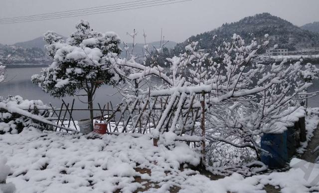 垂钓预备式：出门前看天气，下钩前看水色