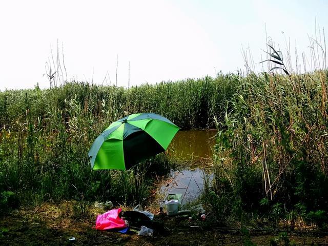 早春鱼儿喜欢活跃在这几种地方，找到爆护概率高