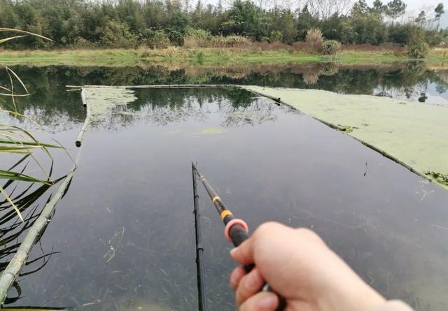 野钓遇上这种情况要钓浮！分享3个钓浮小知识