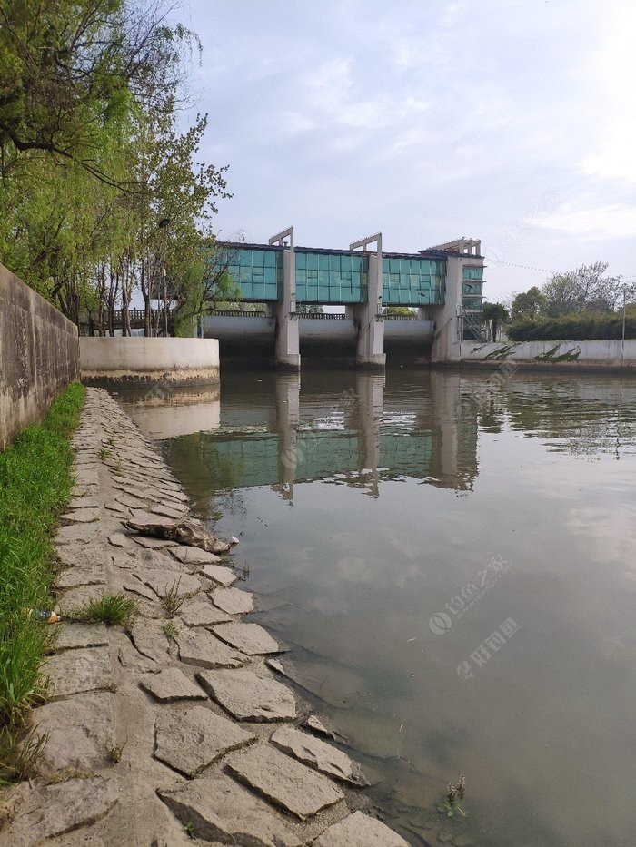 揭秘通潮汐浜，水闸开和关对垂钓的影响 下集