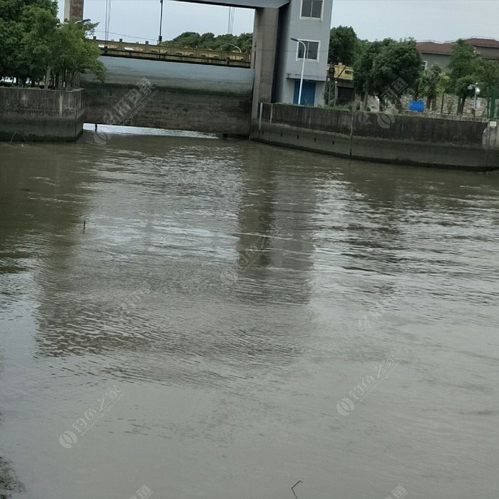 揭秘通潮汐浜，水闸开和关对垂钓的影响 下集