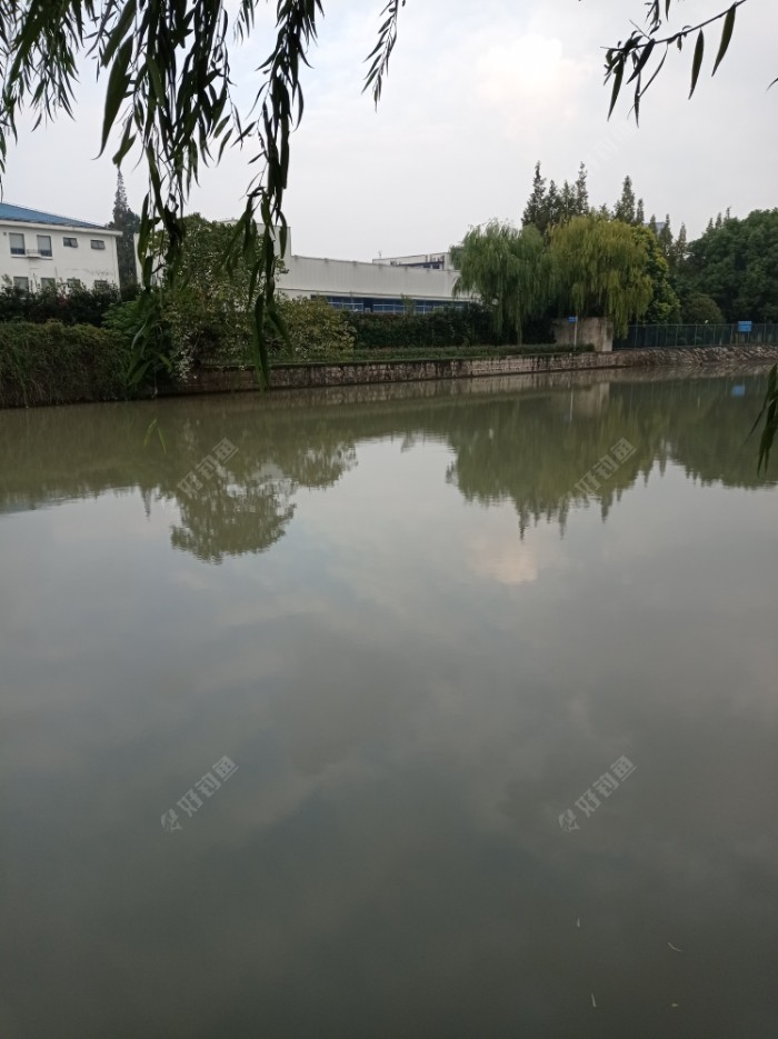 揭秘通潮汐浜，水闸开和关对垂钓的影响 下集