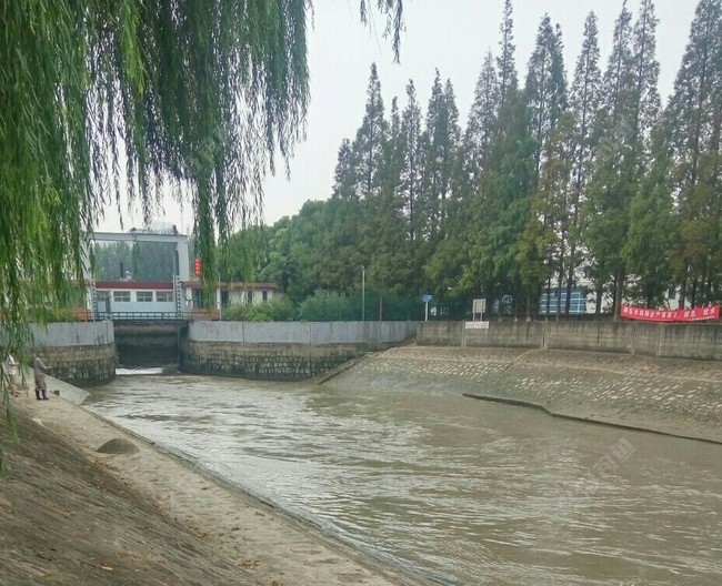 揭秘通潮汐浜，水闸开和关对垂钓的影响 下集