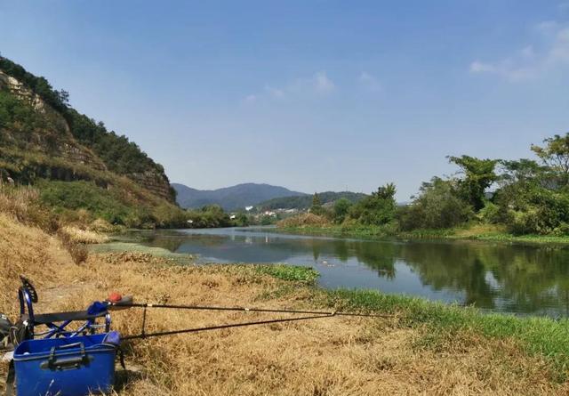 冬钓鲫鱼选钓位：找水草是第一步