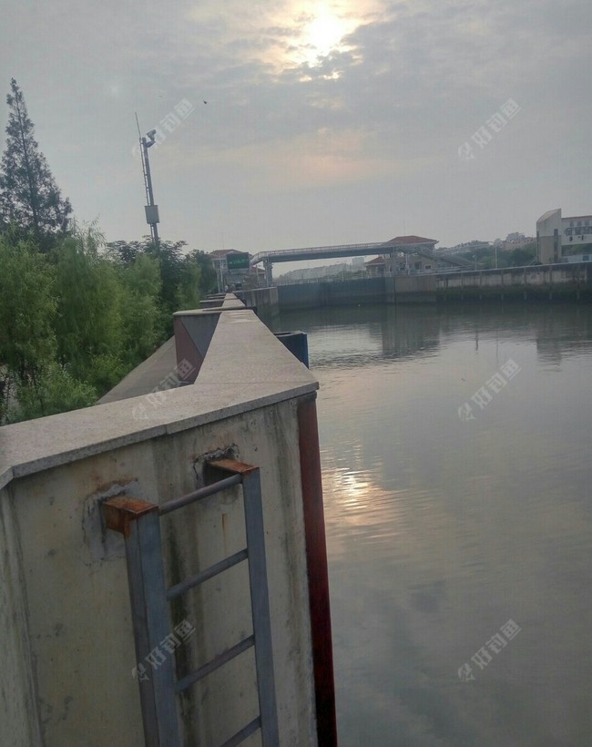 揭秘通潮汐浜，水闸开和关对垂钓的影响？上集