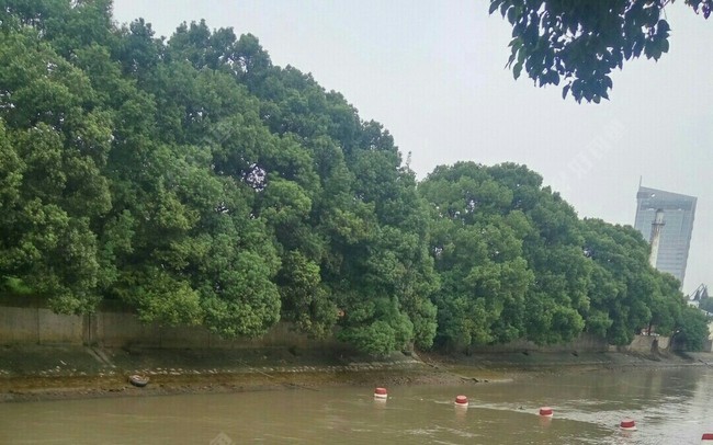 揭秘通潮汐浜，水闸开和关对垂钓的影响？上集