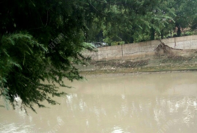 揭秘通潮汐浜，水闸开和关对垂钓的影响？上集