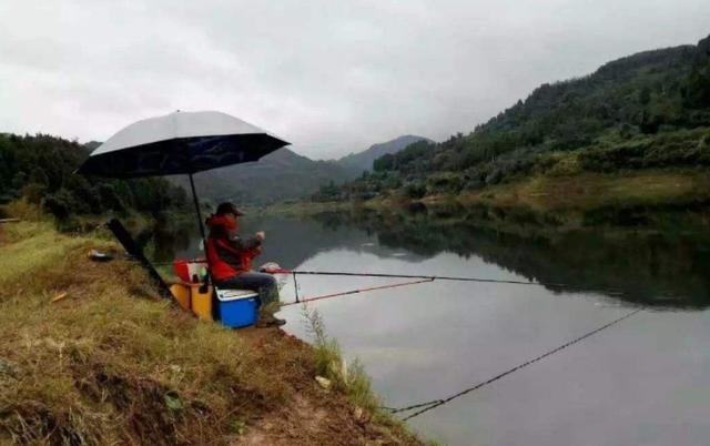 冬季出钓，要知道鲫鱼的吃饵特点，知道何时提竿