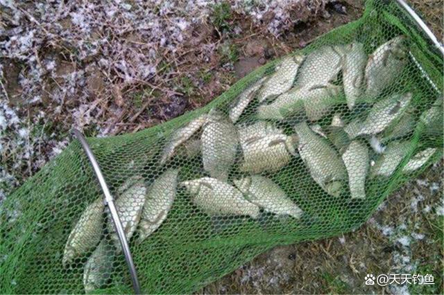 寒冬野钓，鱼藏深水不爱动，用好这些招数，饵料递到鱼嘴边