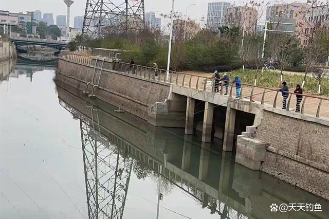 寒冬野钓，鱼藏深水不爱动，用好这些招数，饵料递到鱼嘴边