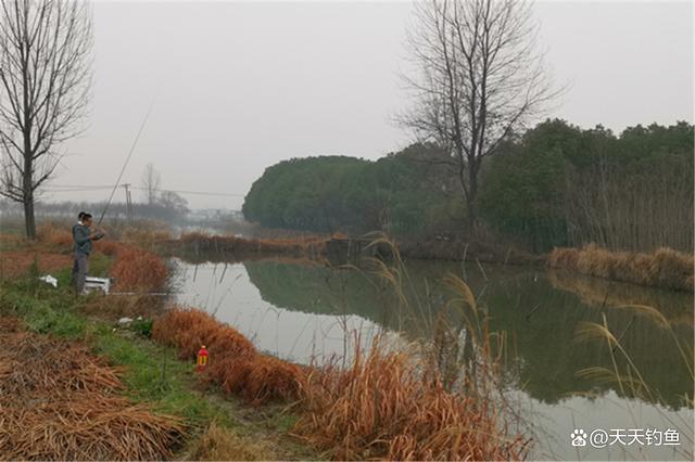 寒冬野钓更重时机，天冷鱼难钓，还好这几种天气鱼口好