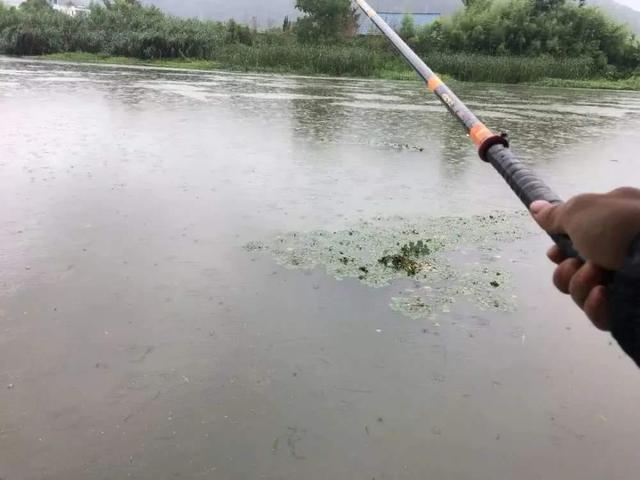 为什么总有钓友说，河钓才是真正的野钓