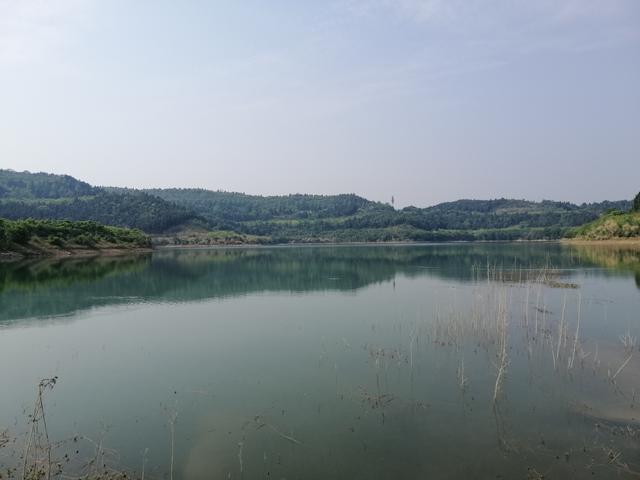 初见仙海湖，那种出尘之美，让我不由自主地想挥一竿