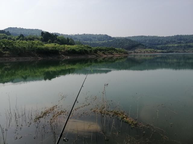 初见仙海湖，那种出尘之美，让我不由自主地想挥一竿